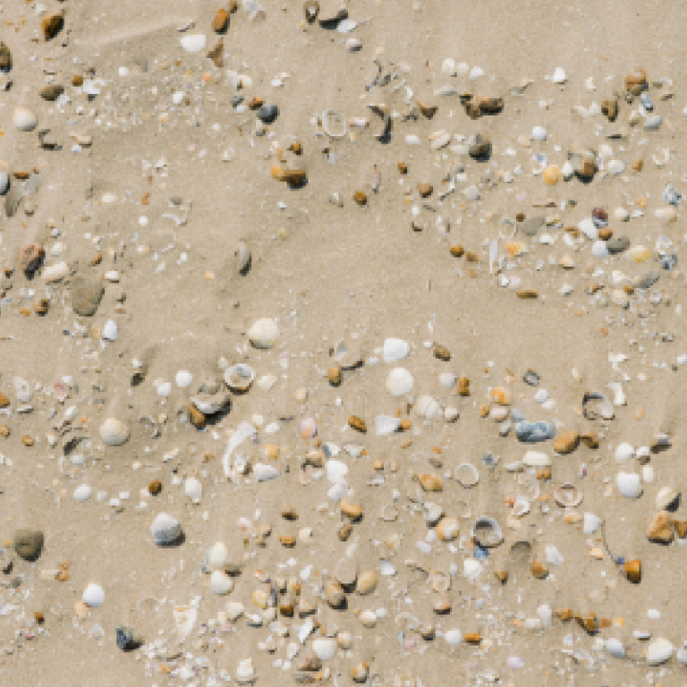 Une plage de sable parsemée de galets colorés et de fragments de coquillages de différentes formes et tailles.